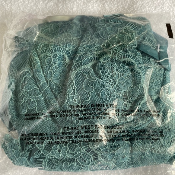 Victoria's Secret Runaway Teal VERY SEXY Wicked La Fleur Open Back Babydoll Set - Picture 6 of 7